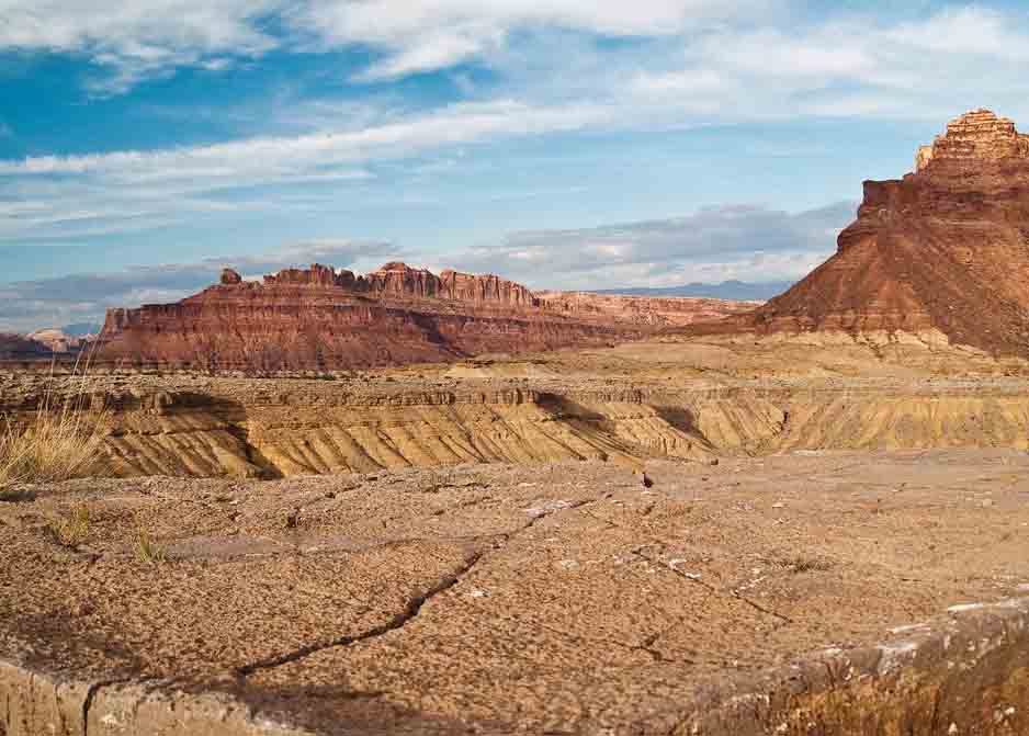 荒漠生態(tài)系統(tǒng)——荒漠生態(tài)系統(tǒng)的分布、基本特征