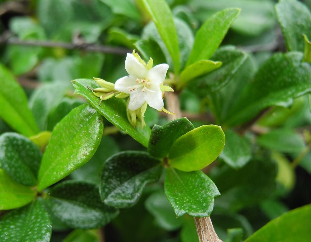 09fa513d269759eee6a11bccb8fb43166c22dfc0.jpg 09fa513d269759eee6a11bccb8fb43166c22dfc0.jpg